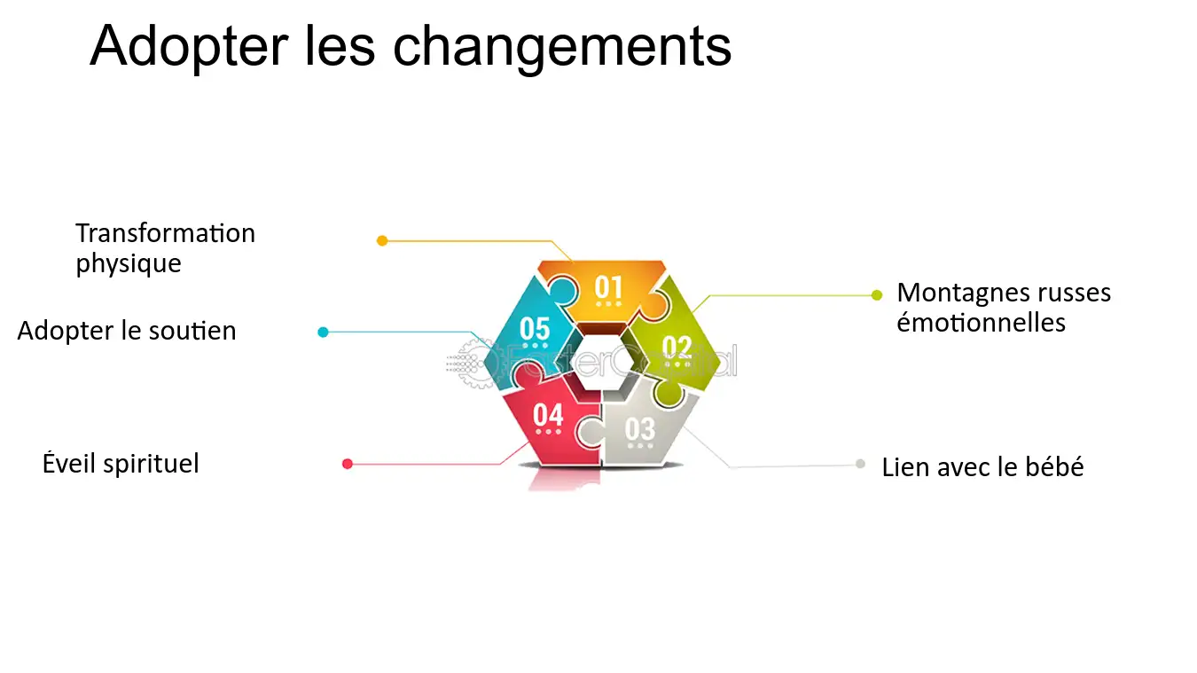 découvrez les importants changements physiques et émotionnels que vous pouvez attendre durant votre grossesse. informez-vous sur les étapes de cette transformation unique, les conseils pour mieux vivre cette période et les ajustements à apporter à votre quotidien pour un bien-être optimal.