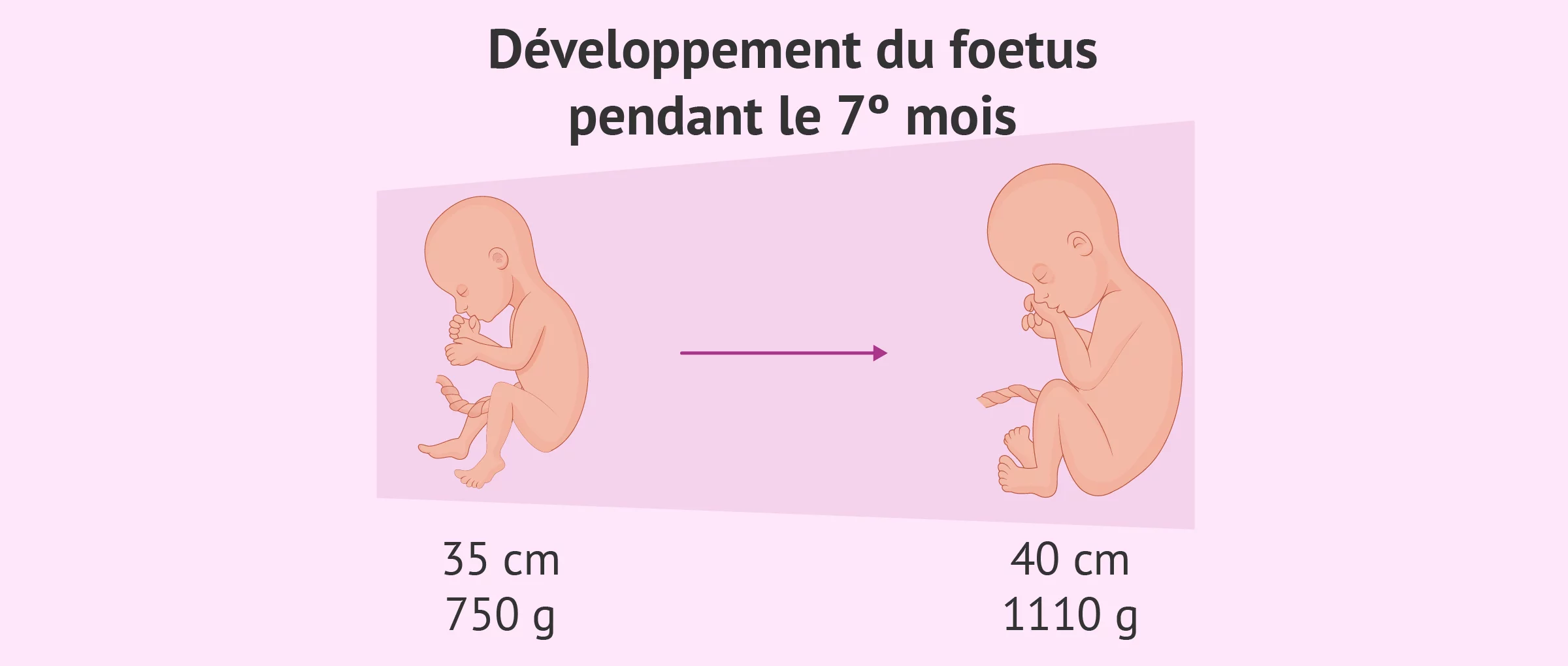 découvrez les étapes essentielles du développement du bébé pendant la grossesse, des premiers instants de conception aux jalons clés de chaque trimestre. apprenez comment la santé de la mère influence la croissance et le bien-être de l'enfant à naître, et explorez des conseils sur la nutrition et les soins prénataux.