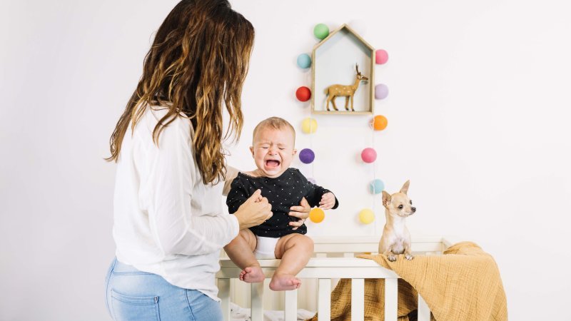 découvrez la vérité derrière les mythes courants sur les toilettes pour nourrissons. apprenez les meilleures pratiques, conseils de sécurité et astuces pour faciliter la transition de votre bébé vers les toilettes, tout en démystifiant les idées reçues.