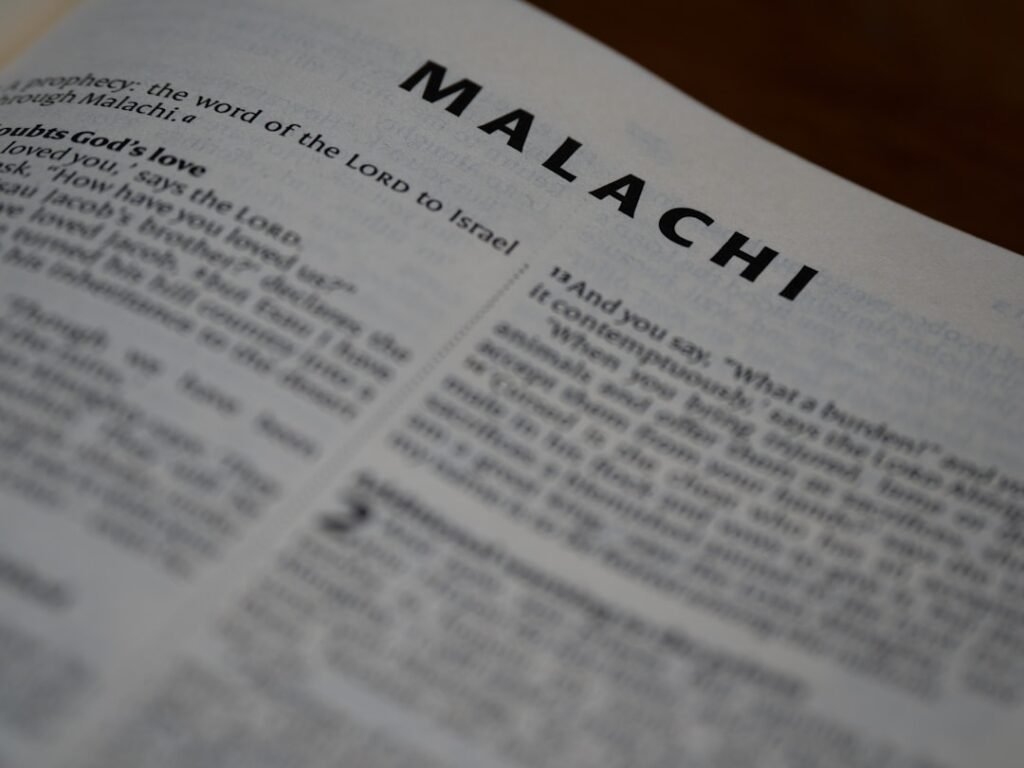 découvrez une sélection de prénoms irlandais traditionnels et modernes, leurs significations et origines celtiques.