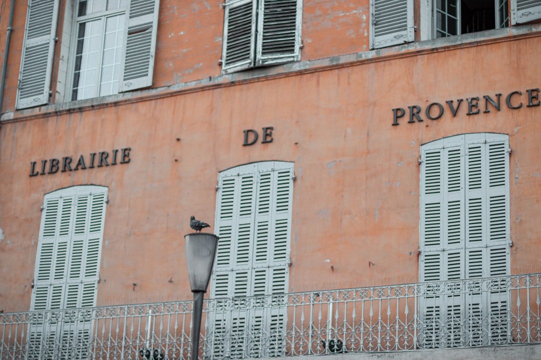 découvrez des prénoms portugais rares pour bébés, uniques et authentiques, parfaits pour un prénom original et chargé de culture.