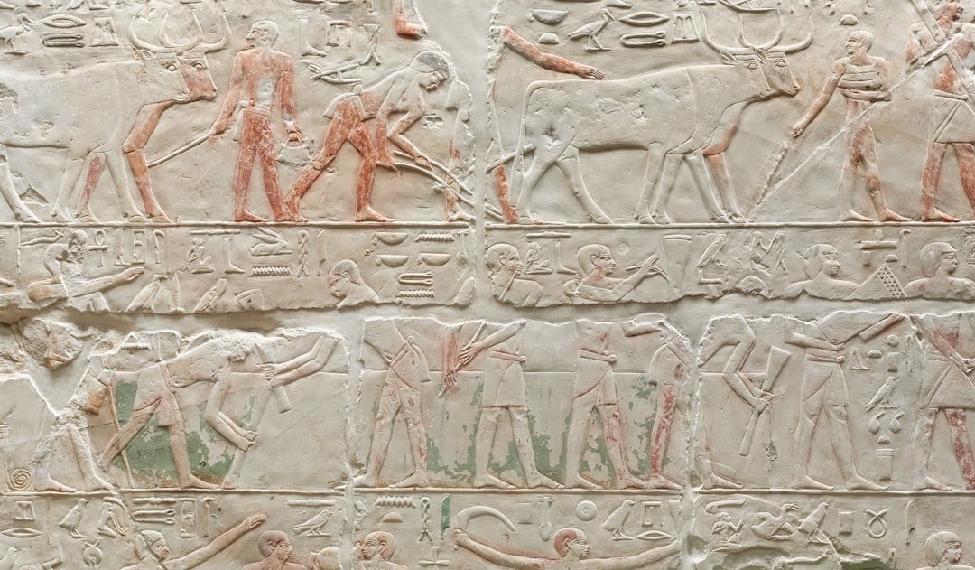 découvrez la signification et l'origine des prénoms mayas, riches en histoire et culture ancienne.